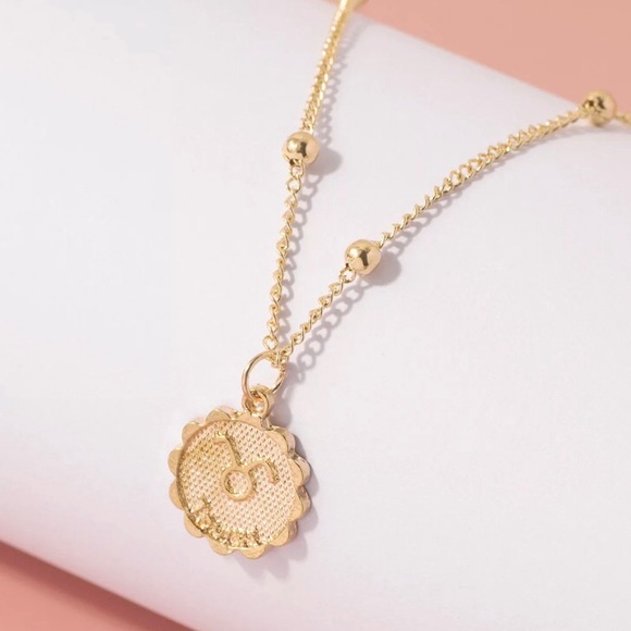 Taurus April-May Zodiac Beaded Horoscope Necklace - Picture 6 of 12